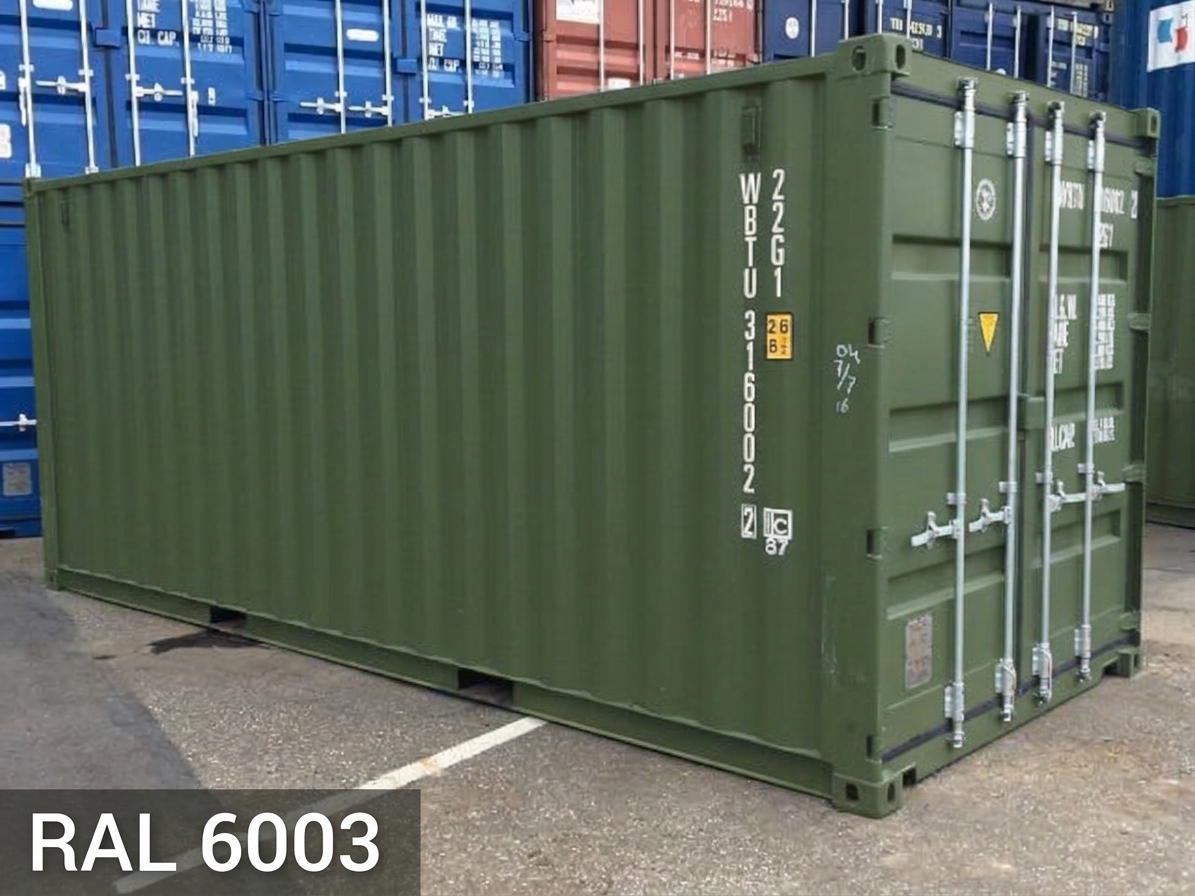 RAL-6003